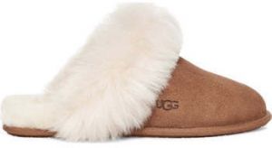 Papuče UGG  -