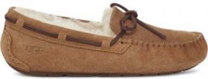Papuče UGG  -