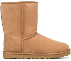 Polokozačky UGG  -