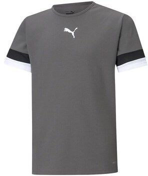 Tričká s krátkym rukávom Puma  Teamrise Jersey