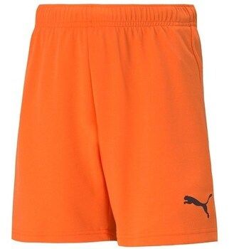 Šortky/Bermudy Puma  Teamrise
