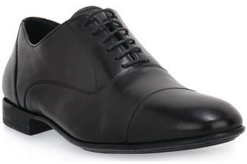Derbie Calpierre  ANILUX NERO