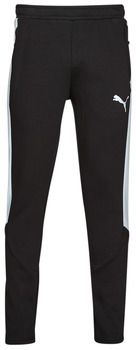 Tepláky/Vrchné oblečenie Puma  EVOSTRIPE PANTS