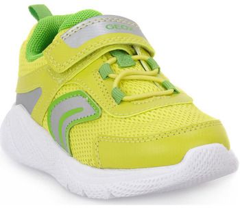 Nízke tenisky Geox  SPRINTYE B