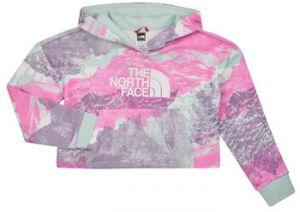 Mikiny The North Face  Girls Drew Peak Light Hoodie