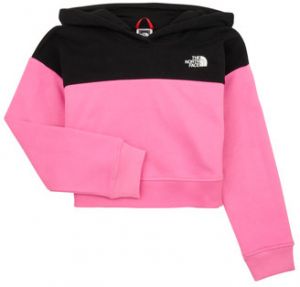 Mikiny The North Face  Girls Drew Peak Crop P/O Hoodie