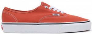 Skate obuv Vans  Authentic color theory