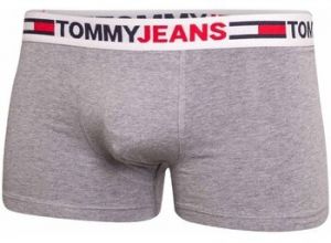 Spodky Tommy Hilfiger  UM0UM02401P4A
