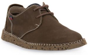 Derbie CallagHan  BRUCE KAKI