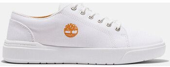 Módne tenisky Timberland  Seneca bay canvas ox
