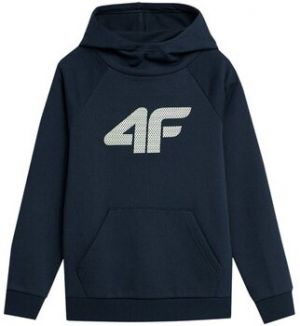 Mikiny 4F  SWSM220