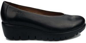 Slip-on Wonders  Fly