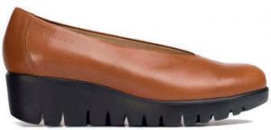 Slip-on Wonders  Fly