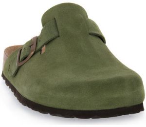 Nazuvky Bioline  1900 FELCE NABUCCO