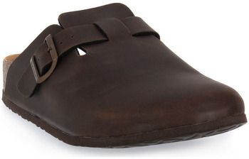 Nazuvky Bionatura  T MORO KANSAS IMB