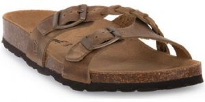 Šľapky Bioline  233 BISCOTTO INGRASSATO