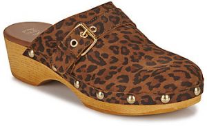 Nazuvky Betty London  PAQUITA