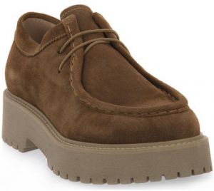 Derbie NeroGiardini  NERO GIARDINI  339 VELOUR MALTO