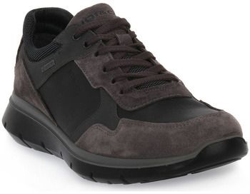 Nízke tenisky IgI&CO  ERMES GTX