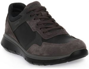 Nízke tenisky IgI&CO  ERMES GTX