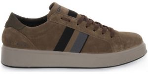 Nízke tenisky IgI&CO  STEN SESAMO