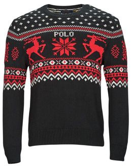 Svetre Polo Ralph Lauren  PULLS COL ROND EN COTON ET CACHEMIRE