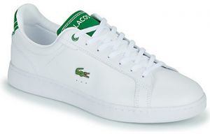 Nízke tenisky Lacoste  CARNABY