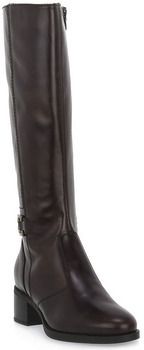 Čižmy NeroGiardini  NERO GIARDINI 300 MORO