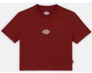 Košele a blúzky Dickies  MAPLE VALLEY TEE