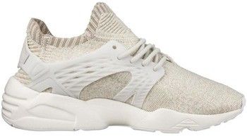 Derbie Puma  BLAZE CAGE EVO KNIT WN'S