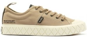 Derbie Palladium  PALLA ACE LO SUPPLY