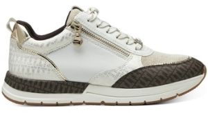 Derbie Tamaris  2373241