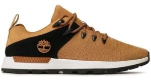 Derbie Timberland  SPRINT TREKR LOW KNIT