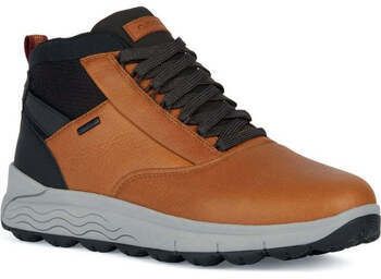 Polokozačky Geox  -