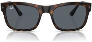 Slnečné okuliare Ray-ban  Occhiali da Sole  RB4428 710/R5