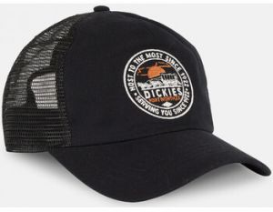 Šiltovky Dickies  Greensburg cap