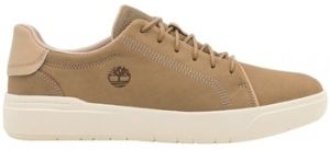 Derbie Timberland  SENECA BAY LOW LACE UP