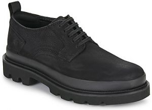 Derbie Clarks  BADELL LACE