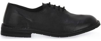 Derbie Priv Lab  BUFALO NERO