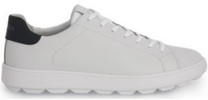 Módne tenisky Geox  C0899 SPHERICA ECUB