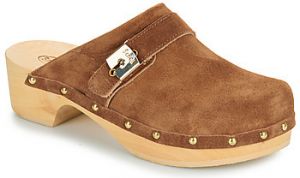 Nazuvky Scholl  PESCURA CLOG 50