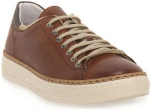 Nízke tenisky Exton  SIENA ENNA