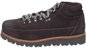 Polokozačky Café Noir  EZ382