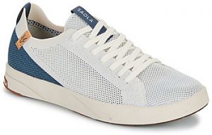 Nízke tenisky Saola  CANNON KNIT 2.1