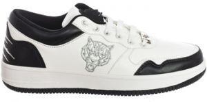Nízke tenisky Philipp Plein Sport  SIPS1512-98