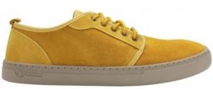 Derbie Natural World  Miso 6761 - Curry
