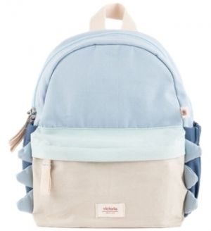 Ruksaky a batohy Victoria  Backpack 9224030 - Azul