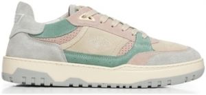 Módne tenisky Sanjo  BSK 33 Low Suede - Light Multicolor