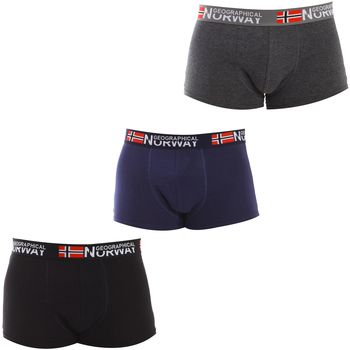 Boxerky Geographical Norway  GN1000-004