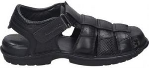 Sandále Kangaroos  525-11
